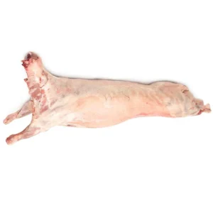 خروف باكستاني